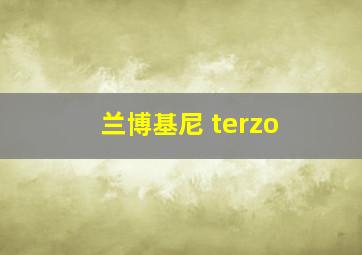 兰博基尼 terzo